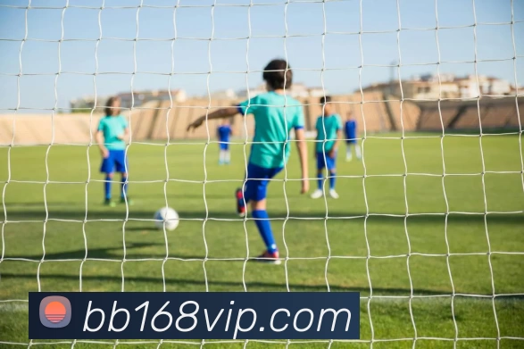 贝宝体育官网平台生态图