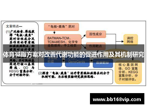 体育减脂方案对改善代谢功能的促进作用及其机制研究